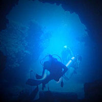 Mergulho Abrolhos